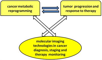 Editorial: Exploring Cancer Metabolic Reprogramming through Molecular Imaging